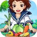 凤彩网彩票平台下载官网安装最新版