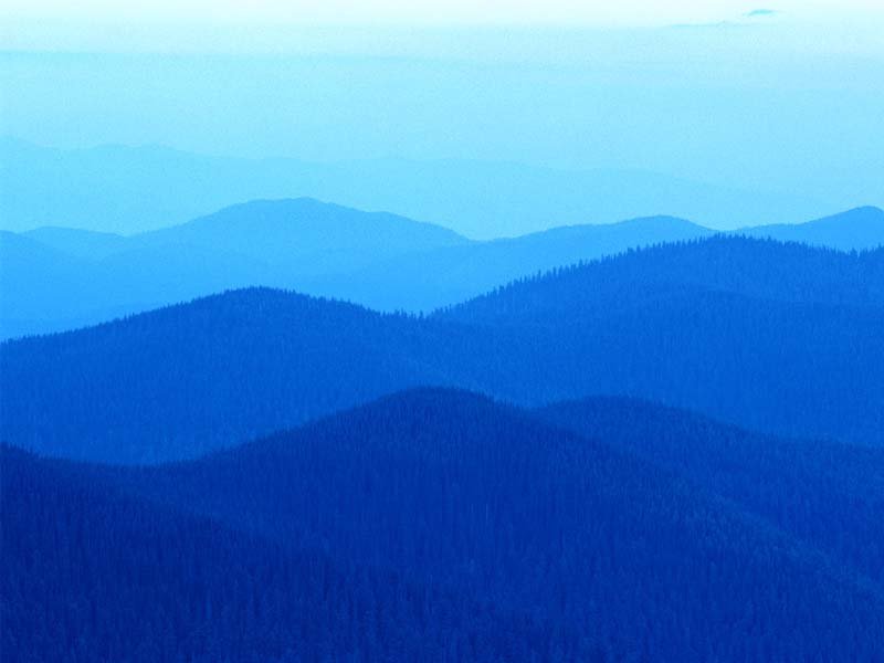 九州体育娱乐ju111