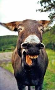 哲勤冷链云安卓版