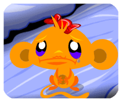 南宫28ng注册官网