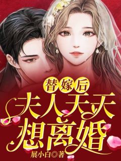 主角是叶云初陆瑾之的小说 《替嫁后：夫人天天想离婚》 全文免费试读